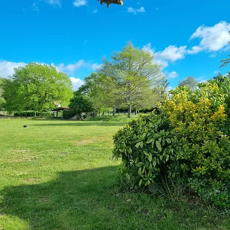 Of Happiness * Saint-Jean-de-Marsacq